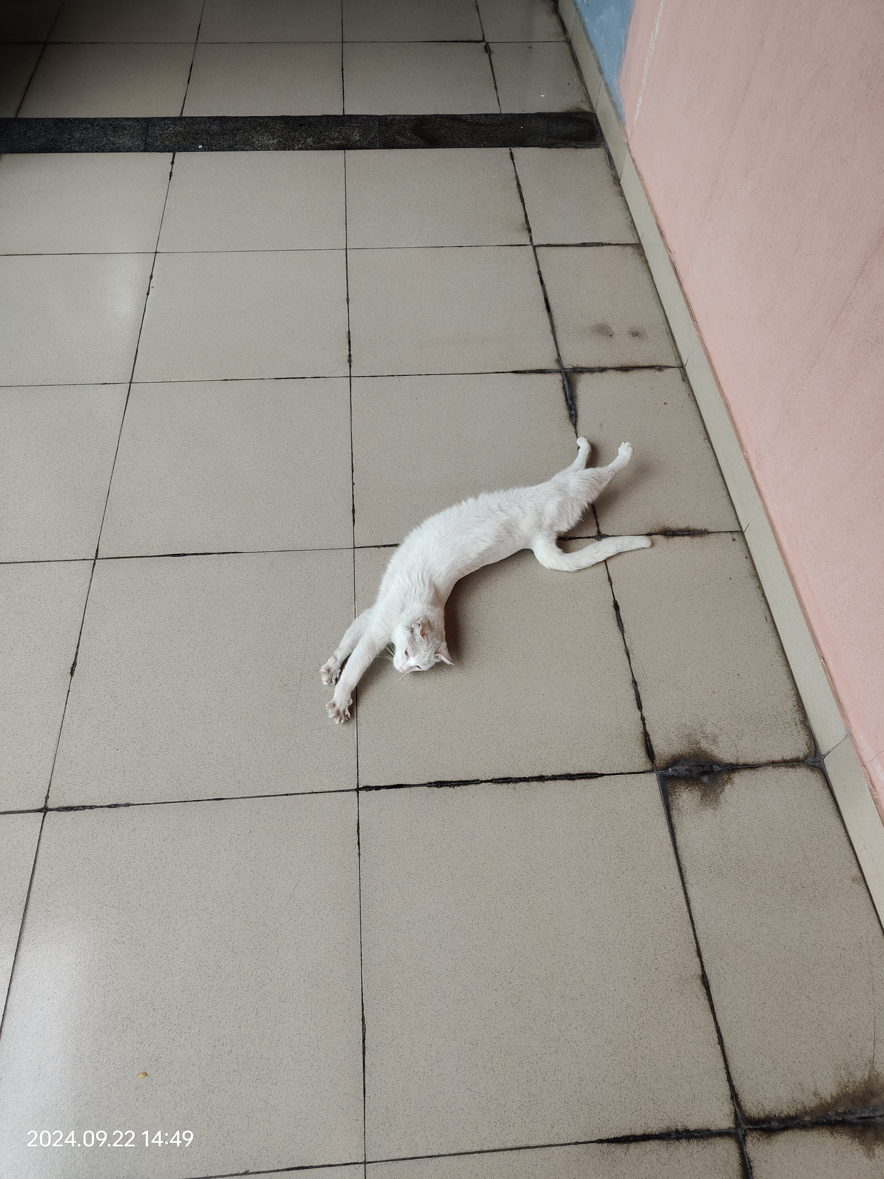IMG20240922144949.jpg